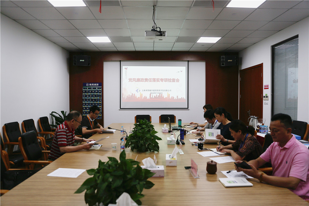 0726城投公司党风廉政专项检查1