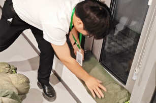 筑牢防线保平安 迎风而立克难关——城投公司迎战“竹节草”台风